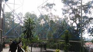 We did not find results for: 3 Zona Di Taman Margasatwa Kinantan Bukittinggi Ditutup Ini Alasannya Bagian 1