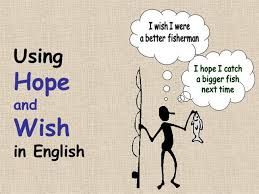 Contoh kalimat simple future tense positive, negative, dan interogative beserta penjelasannya contoh kalimat present continuous dan penjelasannya pengertian simple present tense beserta contohnya. Perbedaan Penggunaan Wish Dan Hope Dalam Bahasa Inggris Studybahasainggris Com