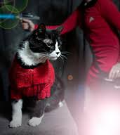 Maybe you would like to learn more about one of these? Ravelry Geek Knits Patterns