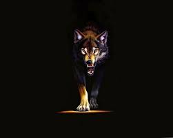 Black fox illustration, wolf, animals, artwork, creativity, black background. Wolf Wallpaper 4k