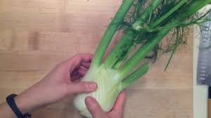 Slice the fennel bulbs in half, lengthwise, through the core. How To Prepare Fennel Youtube