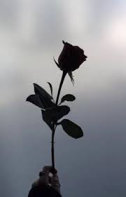 different but the same bts jeon jeongguk intro flowers photography wallpaper photography wallpaper black wallpaper