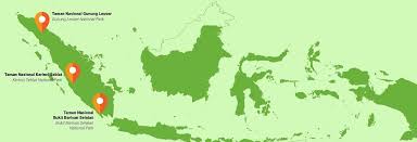 Between the tropic of cancer and the tropic of capricorn. Tropical Rainforest Heritage Of Sumatra Trhs Remains On The List Of World Heritage In Danger