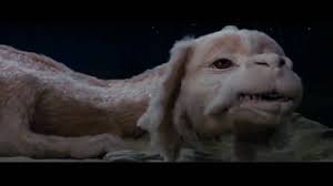 ) latest updates of the stories you read Falkor Likes Children Youtube