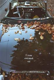 Pin On Cars