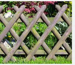 Der holzzaun ist der beliebte klassiker als sichtschutz für den garten. Sichtschutz Im Garten Ideen Anregungen Pina Design