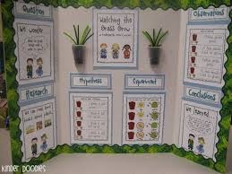 Science Fair Plant Boards Google Search Plant Science Fair Projects Kindergarten Science Fair Projects Cool Science Fair Projects