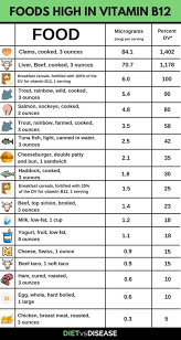 Vitamin B12 Understanding Deficiency And Supplementation