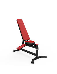 Banc De Musculation Semi Pro Reglable Avec Pupitre A Biceps Et Leg Extension En Option