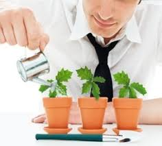All our pest control services in mumbai are performed by well trained and certified technicians. Pest Control Services A To Z In Bangalore Goa Mumbai Pune India