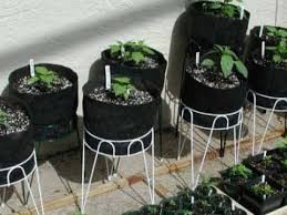 If you're looking for outdoor kitchen experts near me who are able to apply themselves to projects of all sizes and complexities interested in a garden kitchen but unsure where to start? How To Grow Vegetables In Your Apartment Airtasker Blog