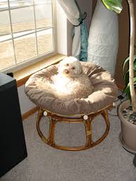 Probably The Easiest Little Project I Ve Done I Took A Hacksaw To An Old Papasan Chair And Made A Big Round Pillo Diy Dog Bed Dog Bed Frame Handmade Dog Beds