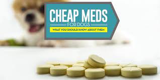 Our pharmacy is focused on providing quality. Cheap Pet Meds Online How And Where To Buy Safely And Avoid Scams