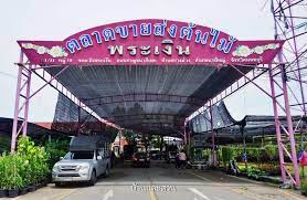 ตลาดต นไม ซอยว ดพระเง น ตลาดต นไม ท ใหญ ท ส ดในย านบางใหญ บ านและสวน ไม ย นต น อ ฐ ส บปะรดส