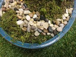 This rustic design is handmade and no garden is complete without a wishing well for your fairy. Kids Korner How To Create An Outdoor Fairy Garden