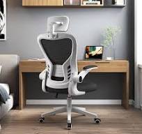 Amazon.com: Ergonomic Office Chair,Office Chair, with Lumbar ...