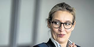 Wo lebt alice weidel denn nun? Hass Mail Von Afd Frontfrau Alice Weidel Veroffentlicht Mopo De