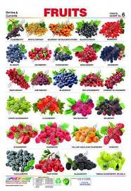 Different Types Of Berries Google Search