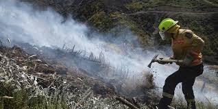 Tu vas devoir leur donner un petit coup de main en les dirigeant. Nouvelle Zelande Un Important Incendie De Foret Risque De Durer Plusieurs Semaines