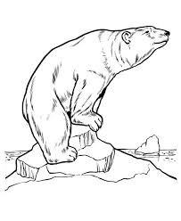 100% free, no strings attached! Amazing Polar Bear Coloring Page Kids Play Color