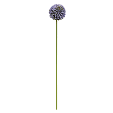 Actual colour may vary a little from the photo depending on your monitor settings. Purple Silk Artificial Allium Ball Flower Stem 26 Fisch Floral Supply