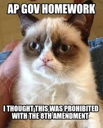General tech related jokes/memes (such as running as administrator, sudo, usb or bios related posts and os memes/jokes). Funny Ap Gov Homework I Thought This Was Prohibited With The 8th Amendment Meme Generator At Memecreator Org Meme Creator