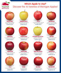 Which Apple To Use Discover The 16 Varieties Of Michigan