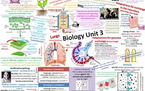 B3 Aqa Biology Revision Posters New Spec Gcse Biology Revision Chemistry Revision Gcse Science Revision