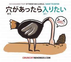Crunchy Nihongo! — Learn from Japanese proverb (kotowaza)