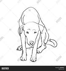 Click on the button below the picture! Drawing Sad Stray Dog Vector Photo Free Trial Bigstock