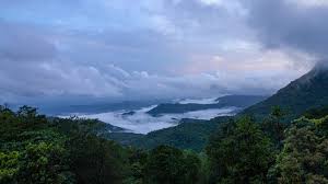 This blue flower is also believed to possess supernatural powers. Palakkayam Thattu A Hill Station In Kannur Kerala Kerala Tourism