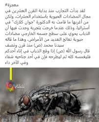 معجزة الذبابه Islam Animals