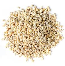 We did not find results for: Organic Pearl Barley Buy In Bulk From Food To Live