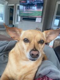 Nanci Williams Bixby (@nancibear)