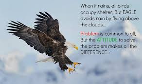 Quotes About Eagle 204 Quotes