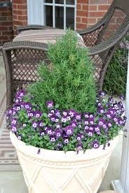 Gardeningtipscolorado Key 7554538358 Foodstylingtips Container Plants Container Gardening Veggie Garden