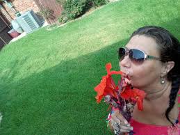 Prayer for humility and meekness