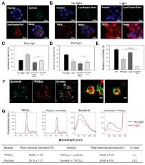 Skins, mattes and blending modes skins, mattes and blending modes 1 skins, mattes. Cancers Free Full Text Photochemically Induced Release Of Lysosomal Sequestered Sunitinib Obstacles For Therapeutic Efficacy Html