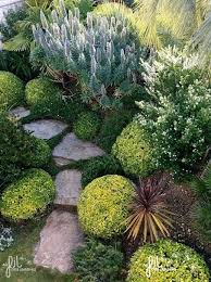 Realisation Des Jardins Le Lavandou Bormes Les Mimosas 1 Jardins Bormes Les Mimosas Pelouse En Rouleau