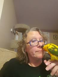 Why is my sun conure interested in baking soda?