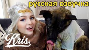 Kallmekris озвучка на русском. Блог. Крис пробует лайфхаки для собак с псом  Кевином 🐶