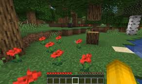 Where to find cactus, how does it grow, what can you do with cactus, and anything else you need to know about. Best Things To Make In Minecraft Our Top Recipes Minemum Com