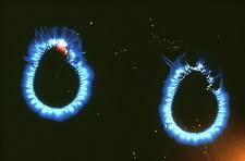 Kirlian photograph of healer's fingertips