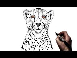 We did not find results for: Animal Drawings Youtube Cheetah Drawing Drawings Animal Drawings
