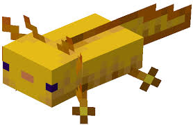 Over 99% of the time, an axolotl will be born as one of its parents' types . Axolotl Minecraft Wiki