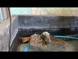 Basking Batuan Untuk Berjemur Kura Kura Brazil Di Kolam Outdoor Youtube