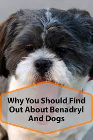 Is Benadryl Safe For My Dog Dog Health Dogs Benadryl