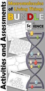 Macromolecules Of Living Things Activities And Assessments Bundle Macromolecules Teaching Biology Macromolecules Biology