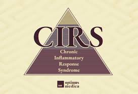 تحميل هاتلي فوديكا وجيفاز حمو بيكاتحميلmp3. Chronic Immune Response Syndrome Are Mold Toxicty And Chronic Inflammatory Response