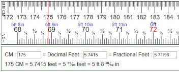 24 circumstantial feet into centimeters chart